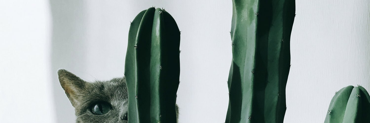 mucat banner
