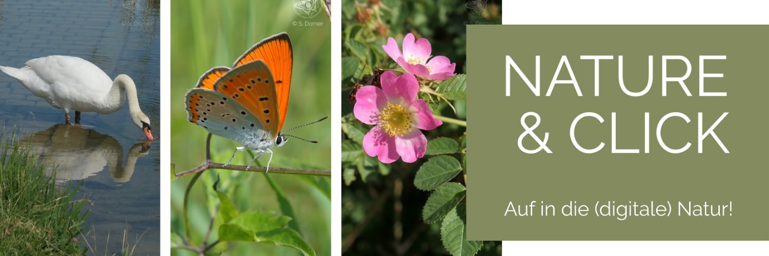 natureandclick's profile banner image