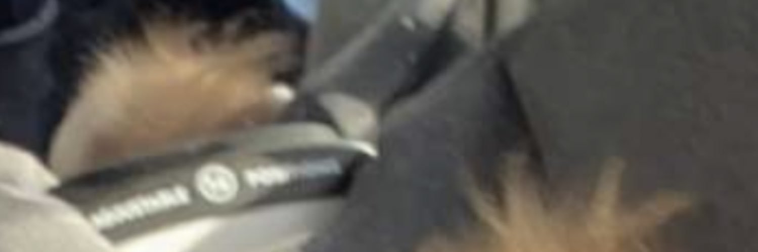 EmmaDay7's profile banner image