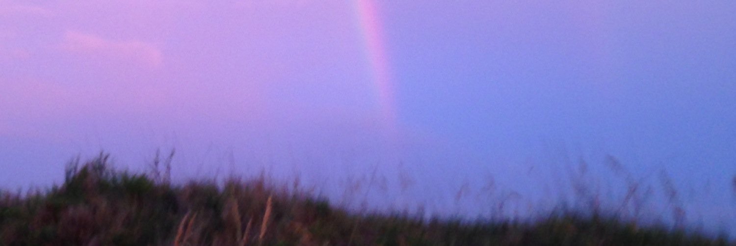 _AlisonLewis's profile banner image