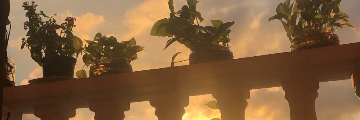 RebolloKaren's profile banner image