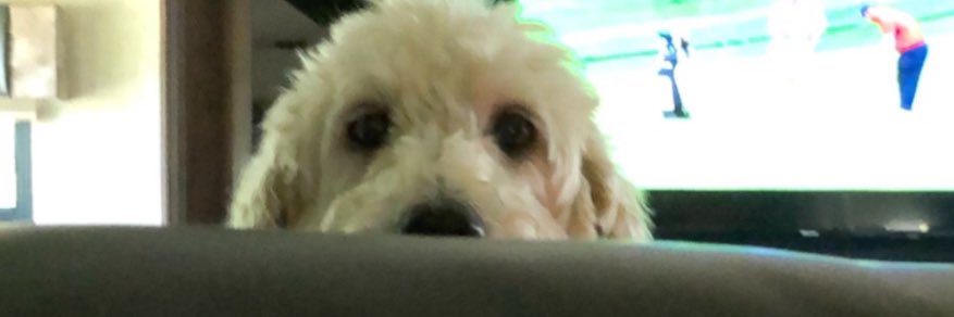katie_root_'s profile banner image
