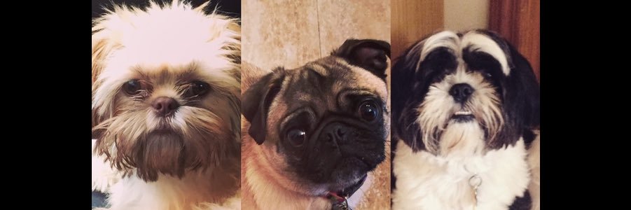 jackiecarbs's profile banner image