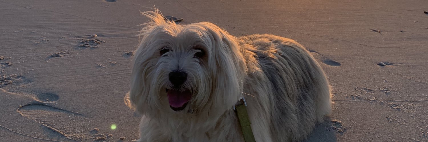 mangodinkk's profile banner image