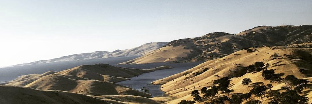 artsyari's profile banner image