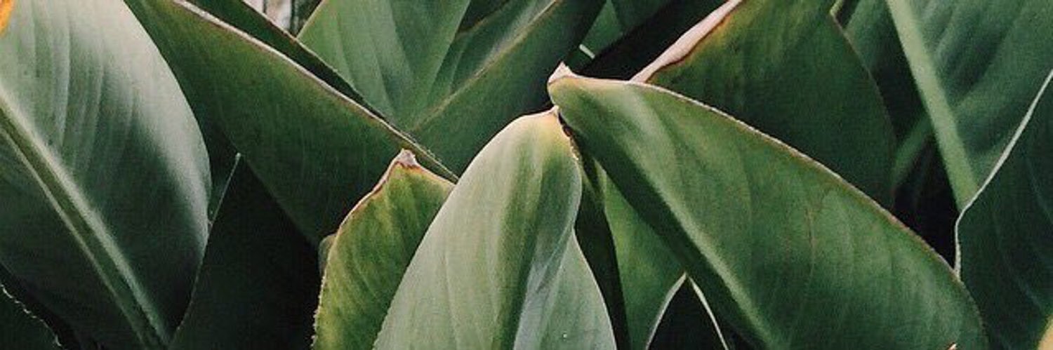 SteviPressman's profile banner image