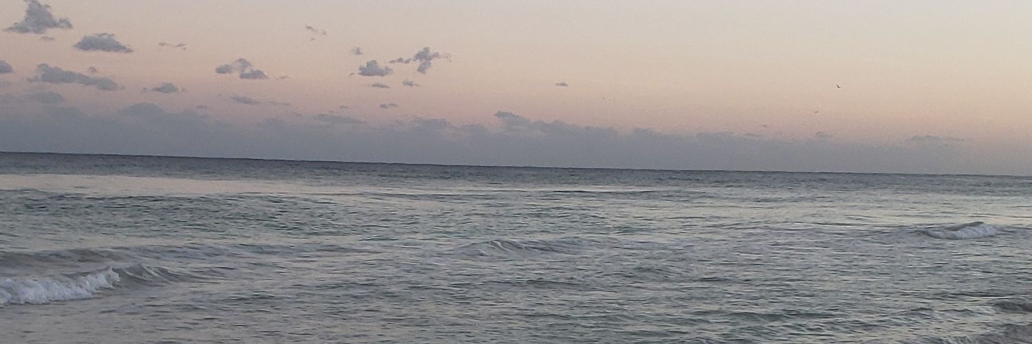 JeanetteMeibach's profile banner image