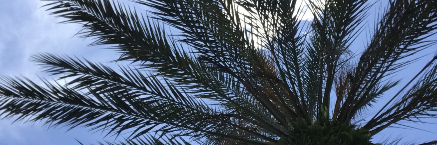 JayMoneyFiasco's profile banner image
