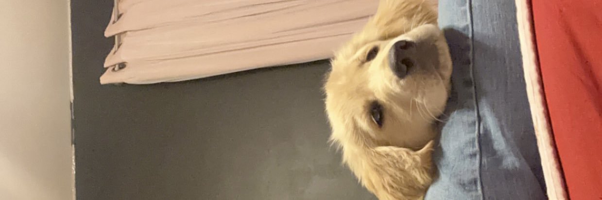 Tybacon3's profile banner image
