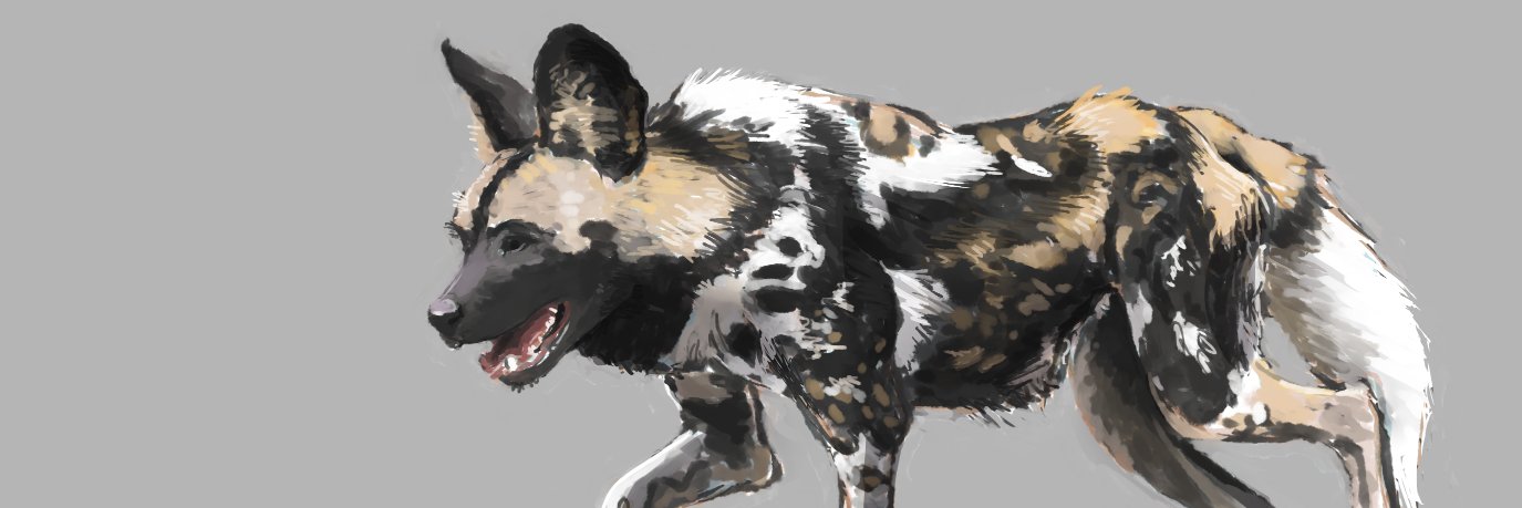 roughlyhewn's profile banner image