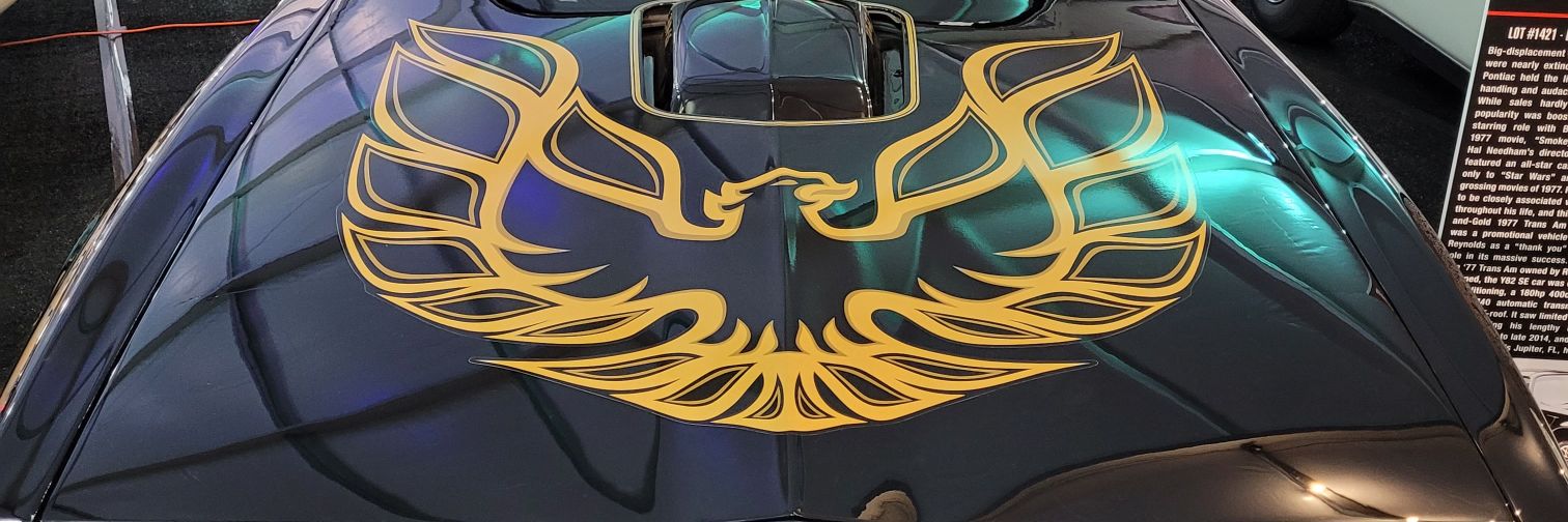 BoomerTheTiger 🐯 banner