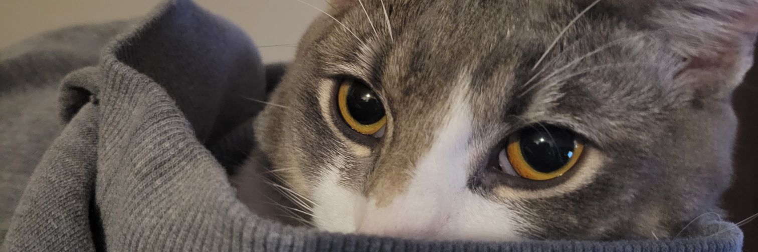 AdamCrocs's profile banner image