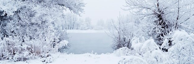 Alexandra Sallay banner