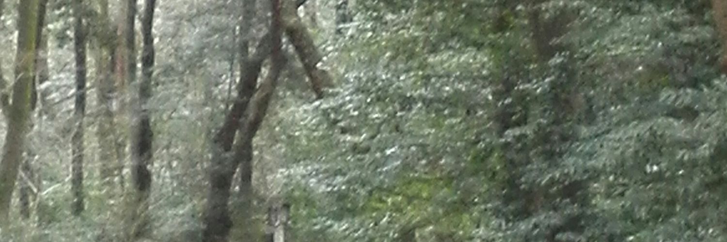 dai59ten's profile banner image