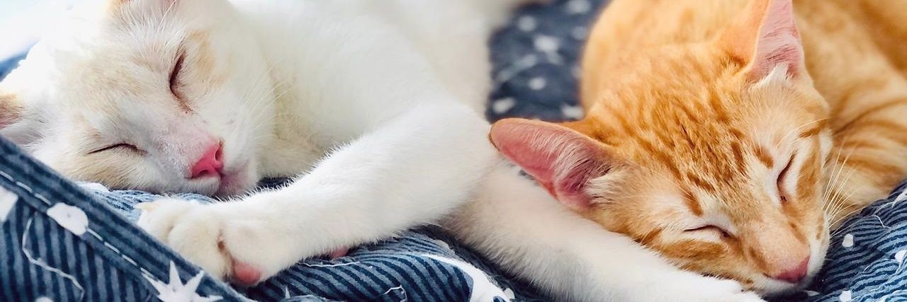 lumaperrete's profile banner image