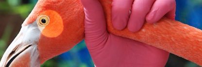 MrsNoonerSA's profile banner image