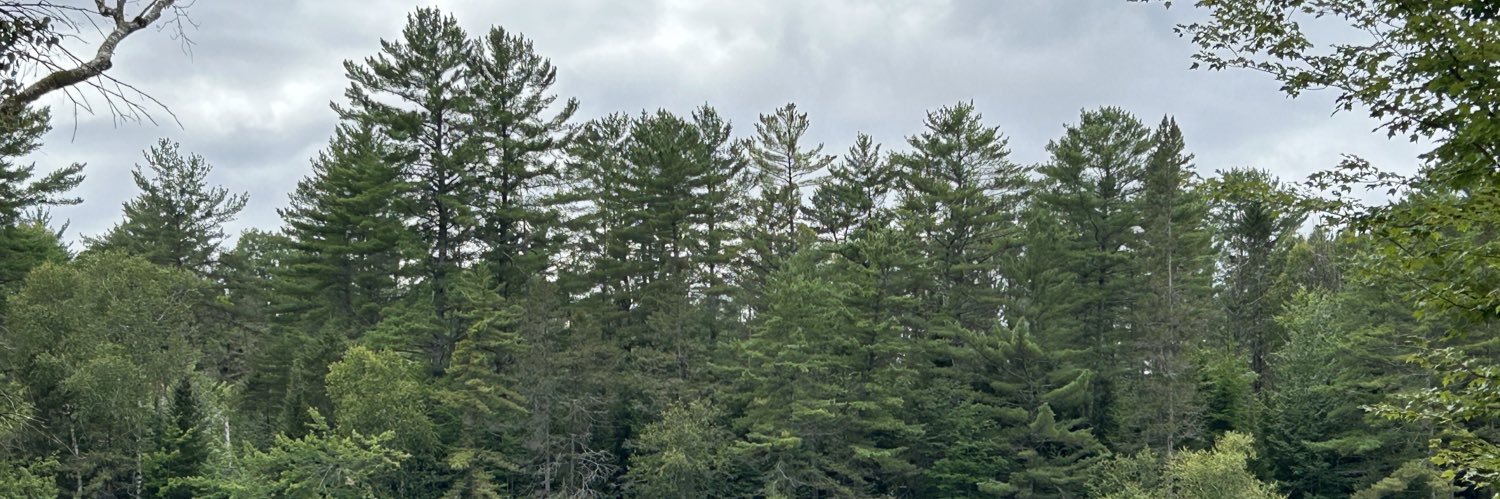 Julie Shouldice banner