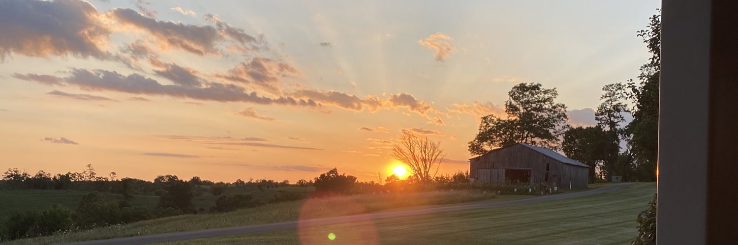 Daugherty_4's profile banner image