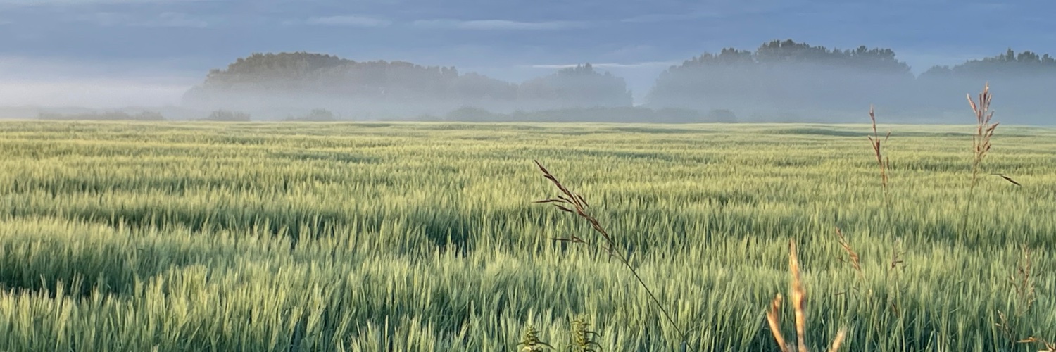 DPrairies's profile banner image