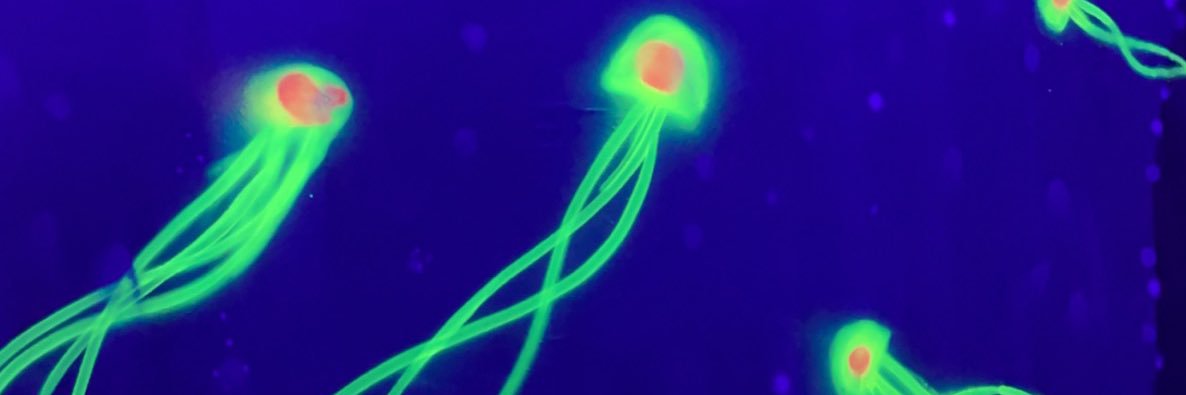 whittters_'s profile banner image