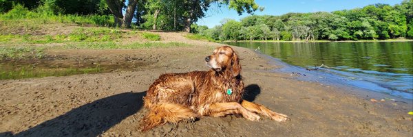 xtevolution Profile Banner