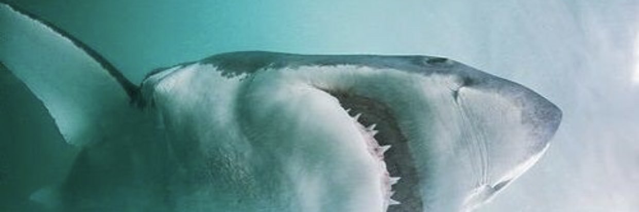 DeaneCarlson's profile banner image