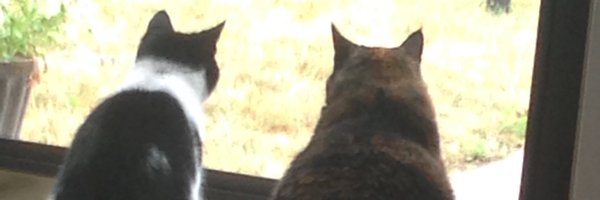 JDayLHS Profile Banner