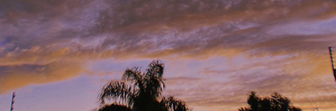 MimiLis12's profile banner image