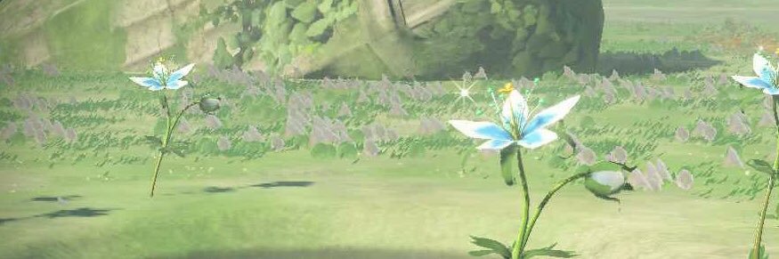 saruh_c's profile banner image