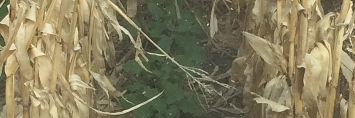 Jlk022's profile banner image