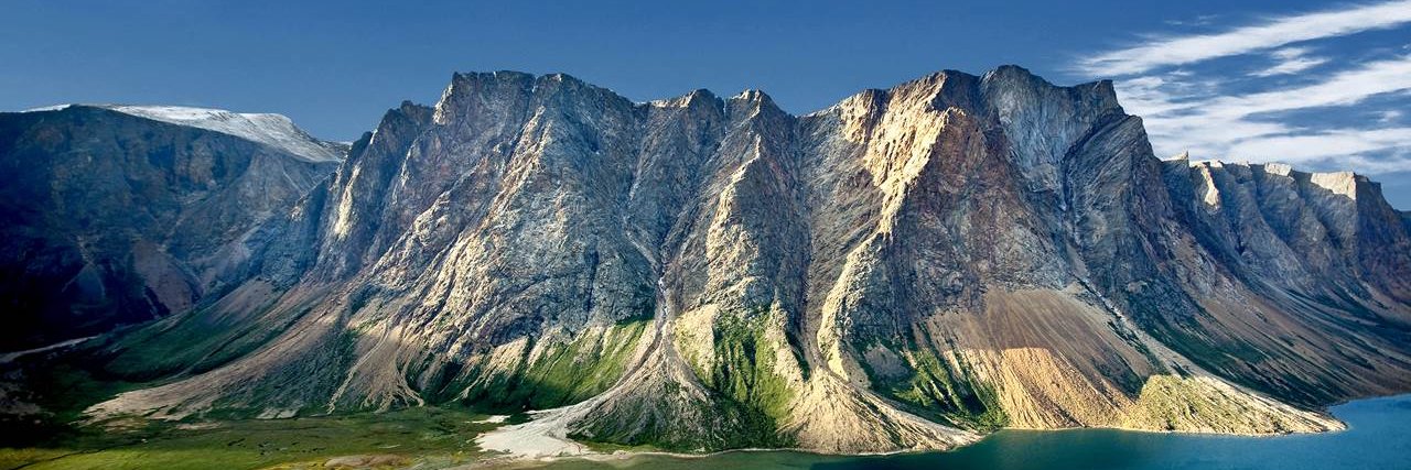 Sue Kelland-Dyer banner