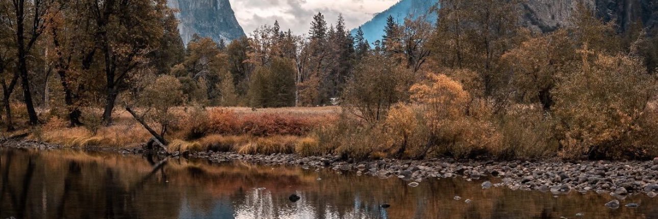 Jonathan Jacque banner