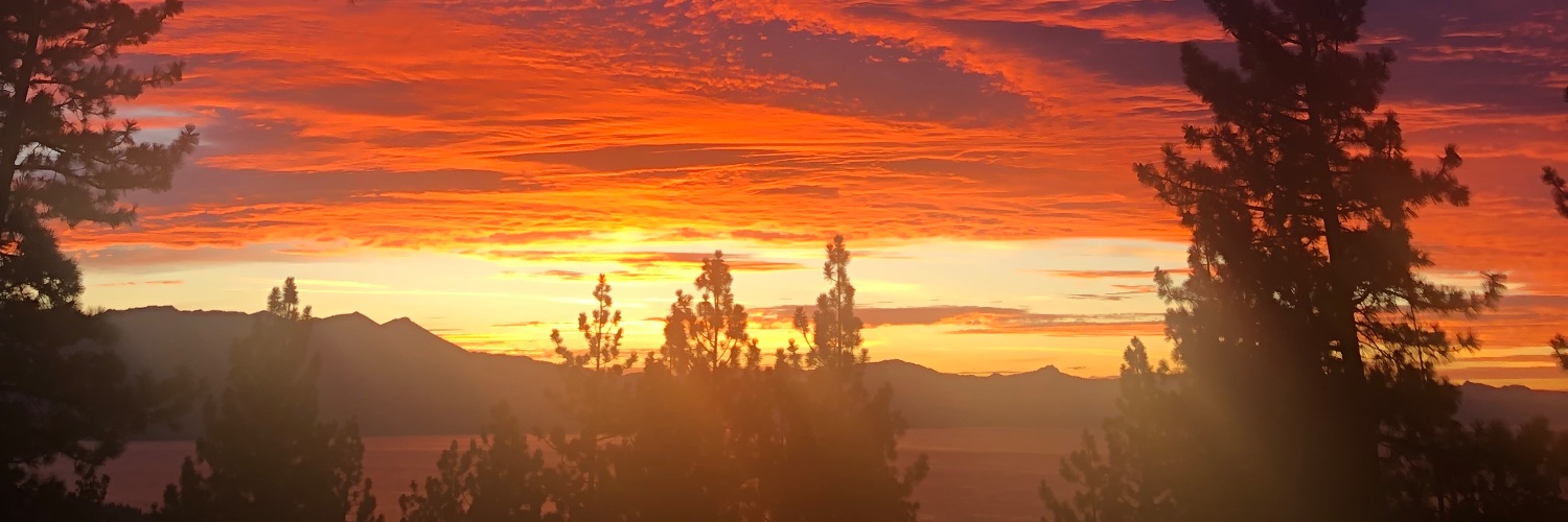 thomas stabby banner