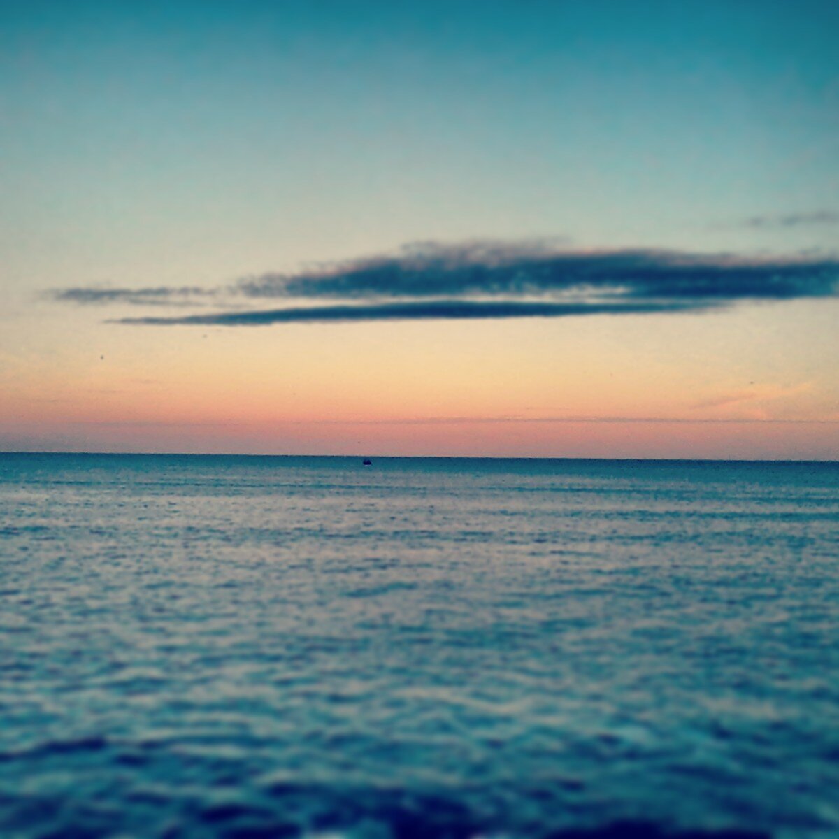 florroddriguez1's profile banner image