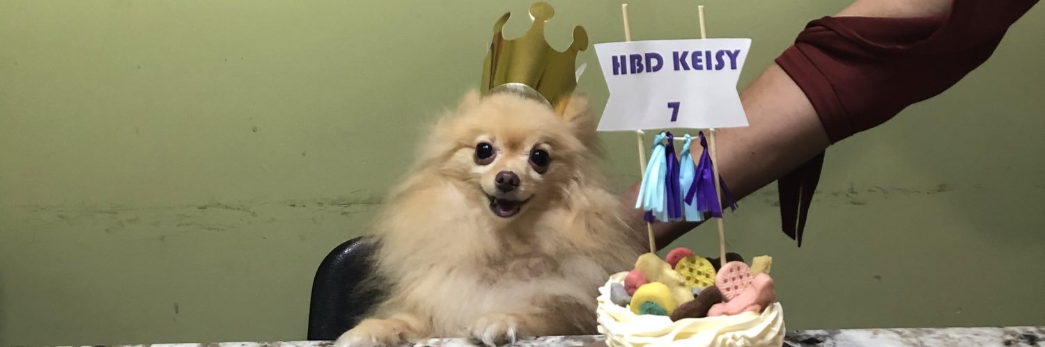 Sahianag3's profile banner image