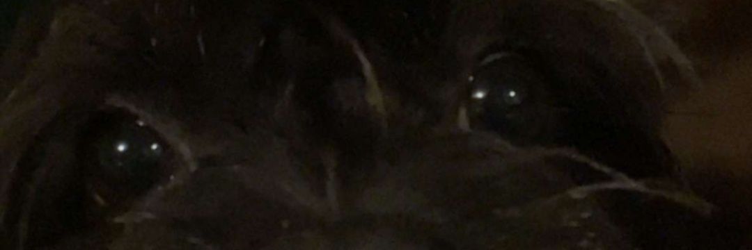 jarpatterson1's profile banner image