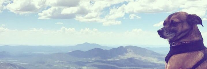 LauraRunyan's profile banner image