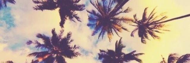 toriosullivan's profile banner image