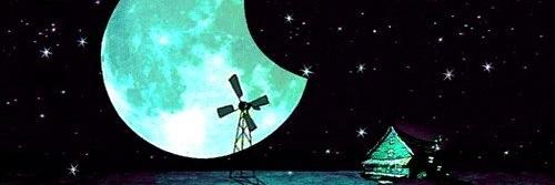 amayranicaa's profile banner image