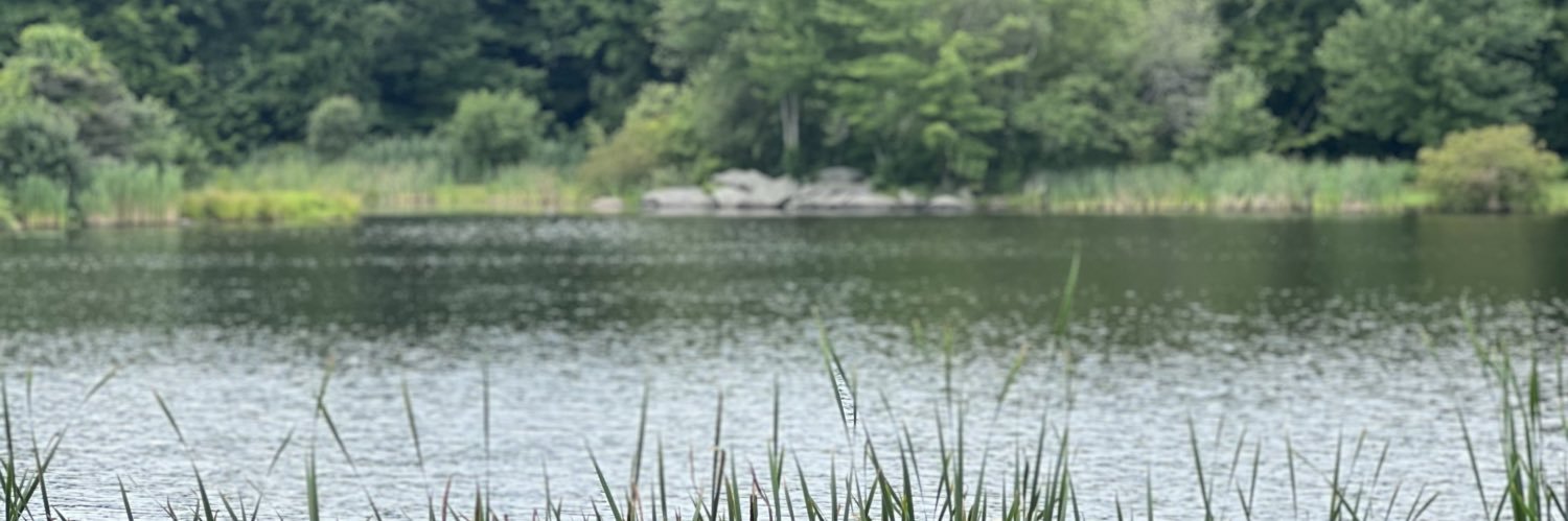 MelissaRingsted's profile banner image