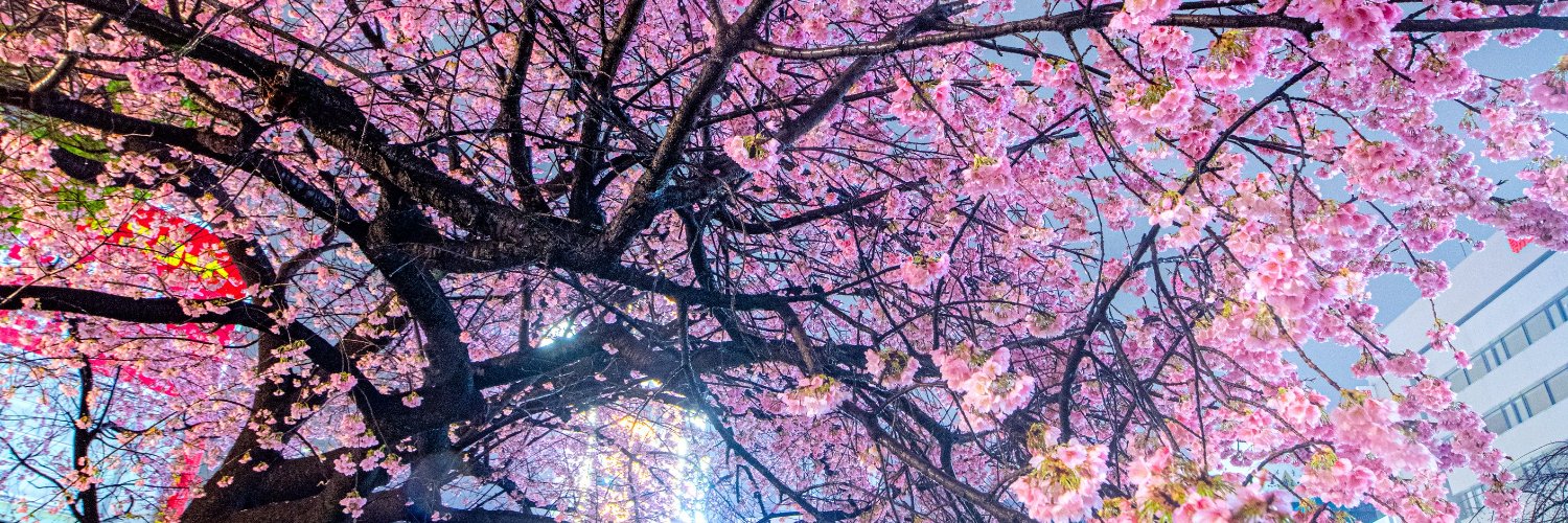 日本株が急騰 banner