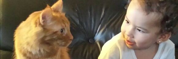 martincho137's profile banner image