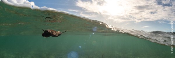 wwfpacific Profile Banner