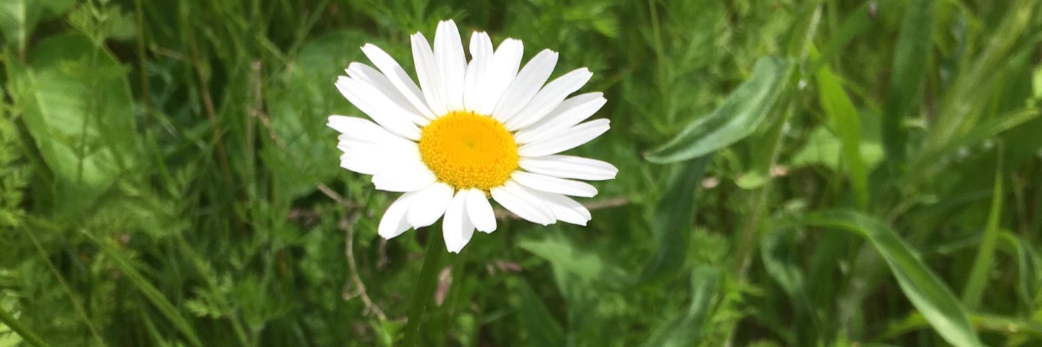 BabysipsAP's profile banner image