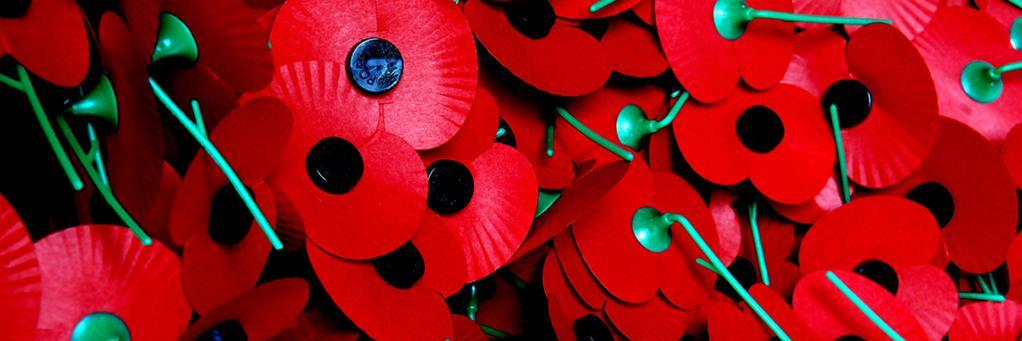 Poppy Appeal Herts banner