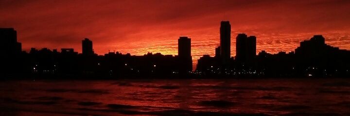 eliascarrizo's profile banner image