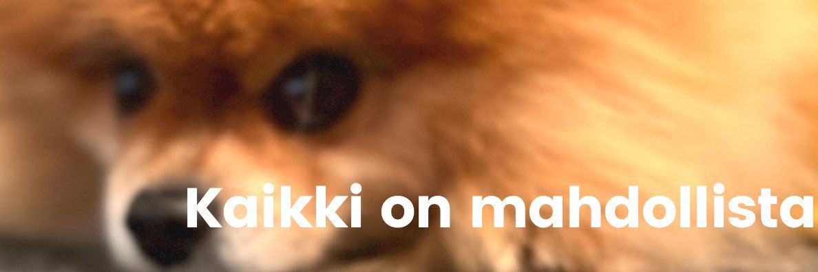 Monika Pöldkivi banner