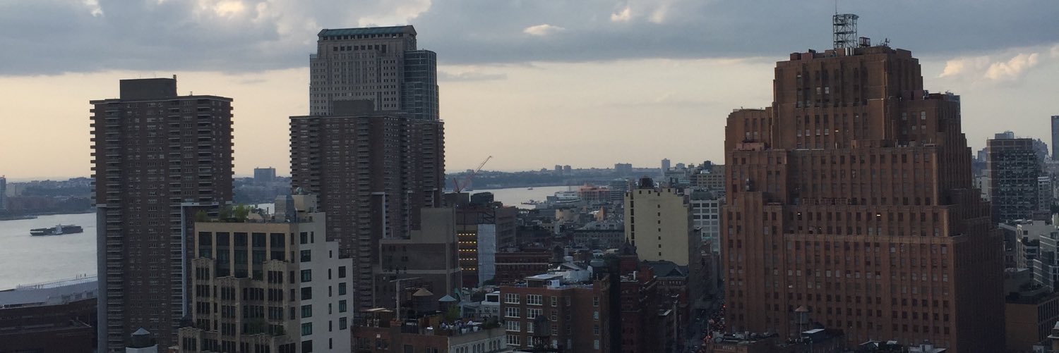 superxerin's profile banner image