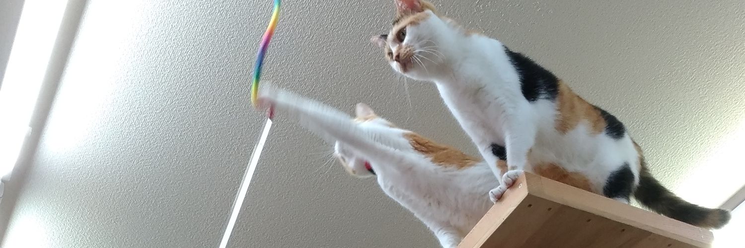 importama's profile banner image