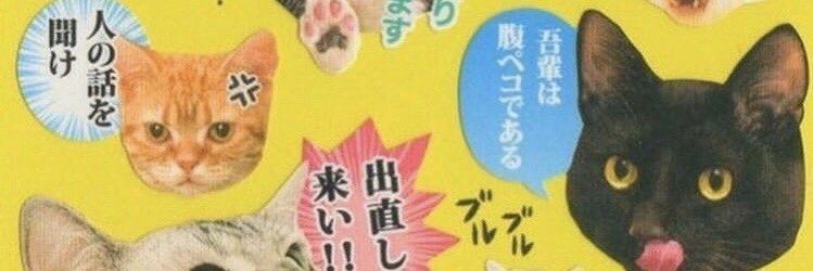 swegysuga's profile banner image